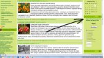 За кого будут голосовать садоводы на президентских выборах – 2012 За кого будут голосовать садоводы на президентских выборах – 2012
