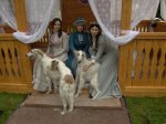 Открылся пятый международный фестиваль "Императорские сады России" Открылся пятый международный фестиваль "Императорские сады России"