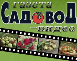 ����� ����� �� YouTube ��� ���������
