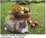 Итоги фотоконкурса «Дачные зарисовки-2013» Итоги фотоконкурса «Дачные зарисовки-2013»