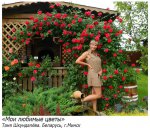 Итоги фотоконкурса «Дачные зарисовки-2013» Итоги фотоконкурса «Дачные зарисовки-2013»