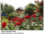 Итоги фотоконкурса «Дачные зарисовки-2013» Итоги фотоконкурса «Дачные зарисовки-2013»