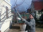 Бригада квалифицированных садовников Бригада квалифицированных садовников