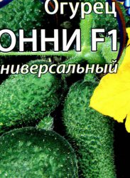�F1� �� �������� � ��������