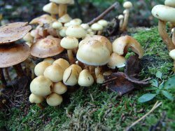 ����� � ���� �������?